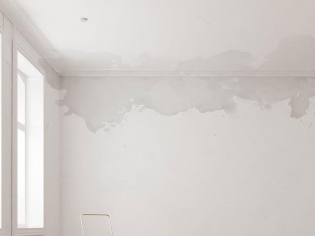 ¿Cuánto cuesta impermeabilizar una vivienda en Lugo?
